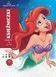 Розмальовка Disney (Księżniczki) Польща RT193 фото 1