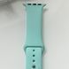 Силіконовий ремінець для розумного годинника Smart Watch 42/44 (Бірюзовий) RW014 фото 1
